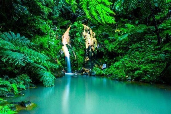 travel agents in phoenix agencies    travel agents in phoenix agencies