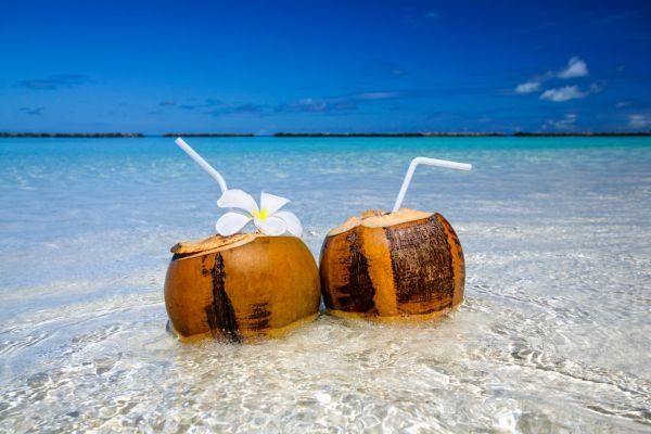 travel agents in phoenix agencies    travel agents in phoenix agencies
